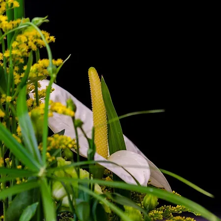 Gæstehus Le Jardin Lisboa