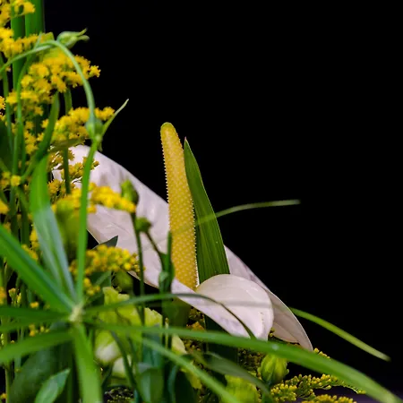 Gæstehus Le Jardin 4*