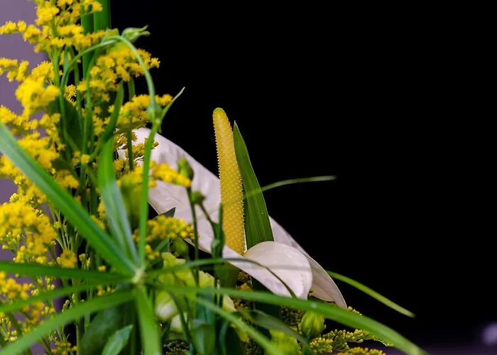 Pensjonat Le Jardin Lizbona